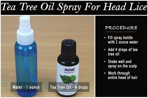It can also stimulate hair growth and add moisture and shine to the hair. 11 Effective Ways to Use Tea Tree Oil for Head Lice