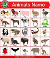 100+ List of All Animals Name in English with Pictures » OnlyMyEnglish