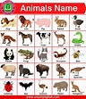 100+ List of All Animals Name in English with Pictures » OnlyMyEnglish