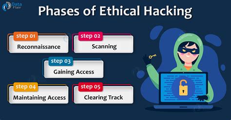 Five Years Ethical Hacking Methodology Roadmap Proces