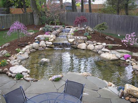 Learn the basics of koi pond design. Ponds and Waterfalls