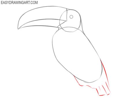 How To Draw A Toucan Easy Drawing Art
