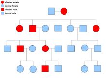 Leer meer over de verschillende vormen, symptomen, oorzaken, behandeling en prognose! ﻿Síndrome de cáncer - Copro, la enciclopedia libre