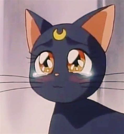 Pin By ··´¯ ·· 𝔀𝓲𝓼𝓼𝓪𝓵 ··´¯ ·· On Bdvg Sailor Moon Cat