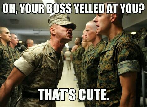 Marine Corps Boot Camp Oh Your Boss Yelled At You That S Cute Mr