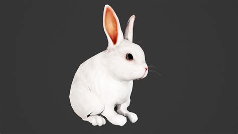 White Rabbit 3d Model By Madecg