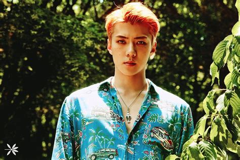 Suzy yang terbiasa hidup sendiri pun kini harus hidup bersama sehun. EXO Reveals Sehun In Tattoos For 'The War' Teasers, Becomes Next Member To Trend Worldwide : K ...