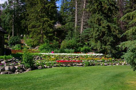 Cascade Gardens Canada Parks Forests Banff Spruce Grass Hd