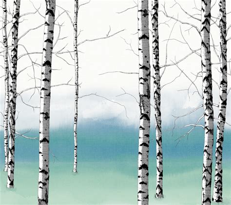 Birch Tree Silhouette Wallpaper Wallpapersafari