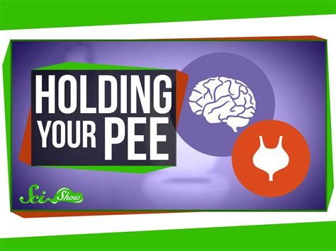 what happens when you hold your pee too long