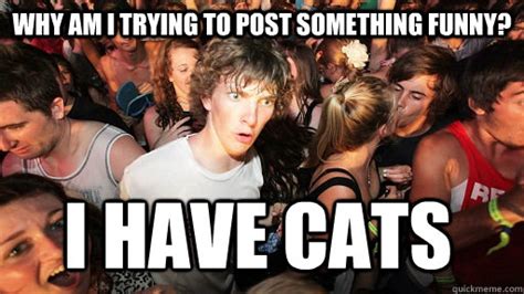 Why Am I Trying To Post Something Funny I Have Cats Sudden Clarity