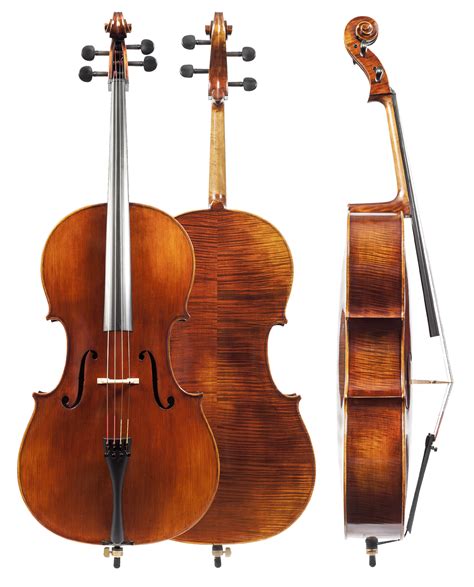 Intermediate Cellos Amatis Fine Instruments