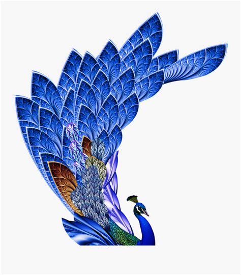 690 x 682 png 89 кб. High Resolution Peacock Feather Png , Free Transparent ...
