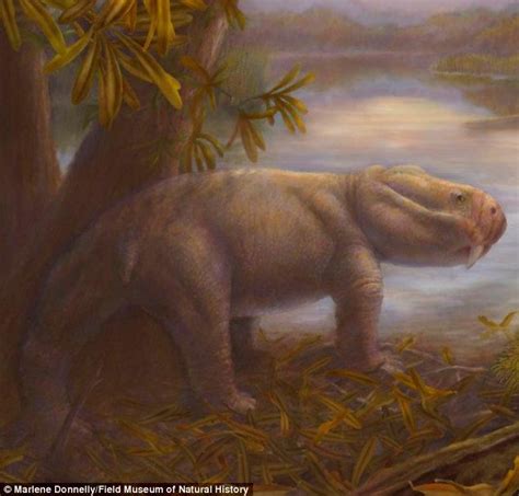 Fossils Shed New Light On The Predecessors Of Dinosaurs After Earths