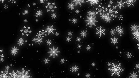 4k Christmas Motion Background Snowfall With White Snow Flakes Black