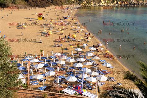 Golden Bay Swimmers Swimming Sandy Summer Sunbathing Malta Photos