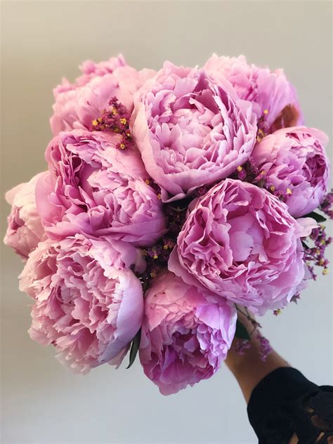Pink Peony Bouquet Bridal Bouquet Peonies Pink Peonies Bouquet Pink Peonies
