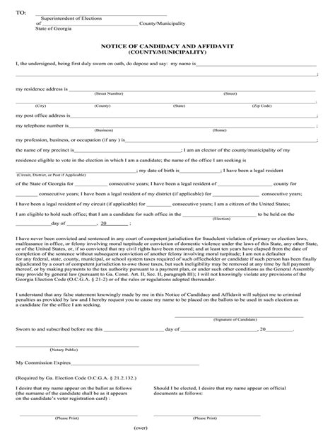 Notice Of Candidacy And Affidavit Georgia Fill Out And Sign Online Dochub
