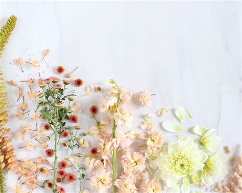 Flower Aesthetic Desktop Wallpapers Top Free Flower Aesthetic Desktop