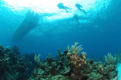 Hedo Diving Hedonism Ii Resort Diving Online Reservations