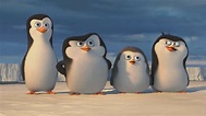 Los Pingüinos de Madagascar (2014) Primeros 5 Minutos Oficial Español