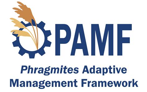 Phragmites Adaptive Management Framework (PAMF) | Great Lakes