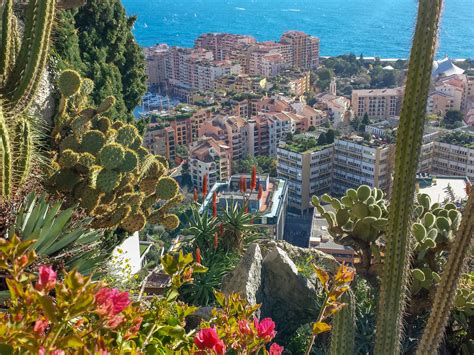 Monaco is a small principality that exudes luxury and exclusivity, commonly known monaco's history is intertwined with famous names, glamorous living and, sometimes, the. The Exotic Garden and cave in Monaco - how to visit?