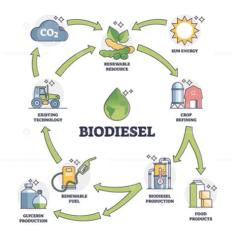 Biodiesel Fuel Life Cycle Explanation With All Usage Stages Outline