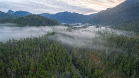 Tongass National Forest Is Americas Last Climate Sanctuary Nova Pbs
