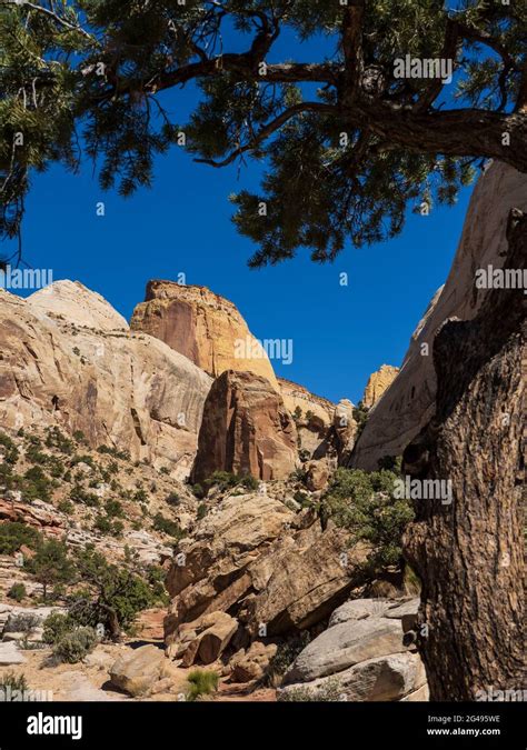 Golden Throne Trail Capitol Gulch Capitol Reef National Park Torrey