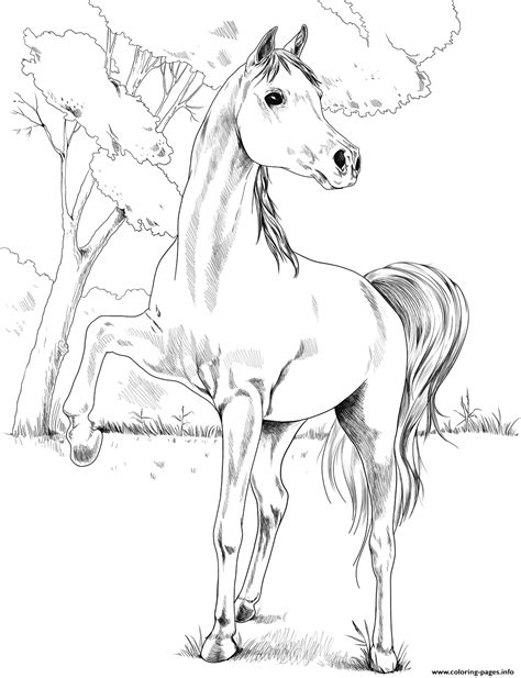 A young muslim girl who wears the hijab. Horse Egyptian Arabian Coloring Pages Printable