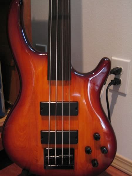 See more ideas about electric bass, bass, upright bass. Cheap fretless bass or upright electric | TalkBass.com
