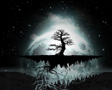Awesome Wallpaper - Tamar20 Wallpaper (29956112) - Fanpop