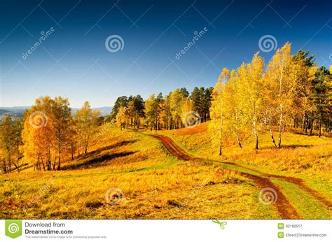 Beautiful Autumn Landscape Fall Season Stock Image