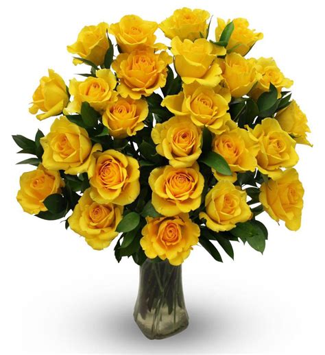 Yellow Roses Two Dozen Avas Flowers