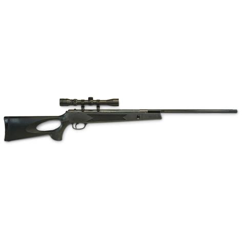 Winchester 1029S 177 Cal Air Rifle 188821 Air BB Rifles At
