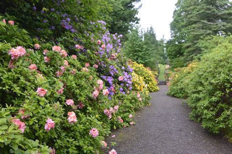 Dawyck Botanic Garden The Glasgow Gallivanter