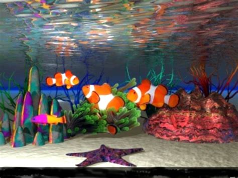 Fish Aquarium Screensavers Fish Wallpaper Clown Fish Salt Water Fishing