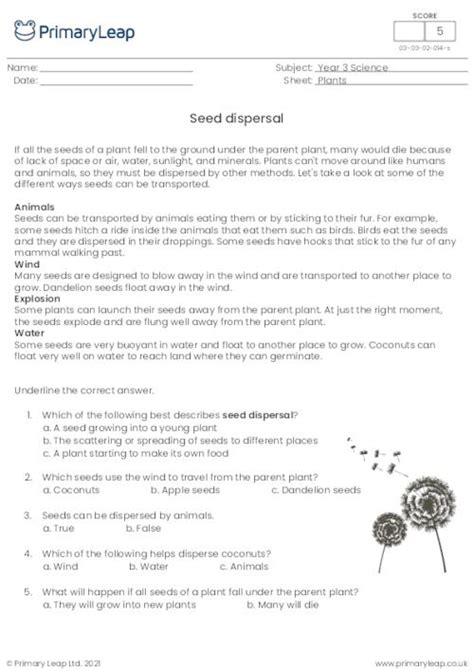 Seed Dispersal Worksheet
