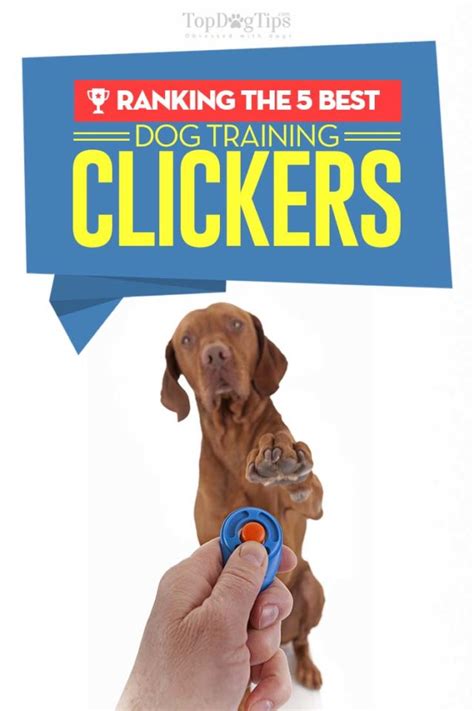 Top 5 Best Dog Clicker For Training Dogs Yourself 2018