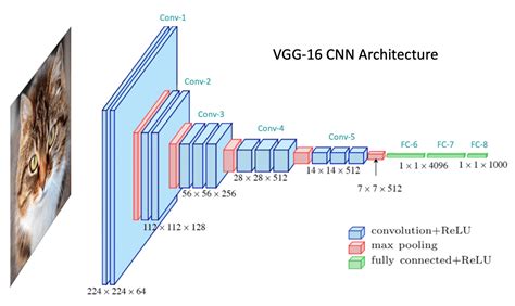 Cnn Architecture Showing The Layers Of Convolutional Blocks Of Porn