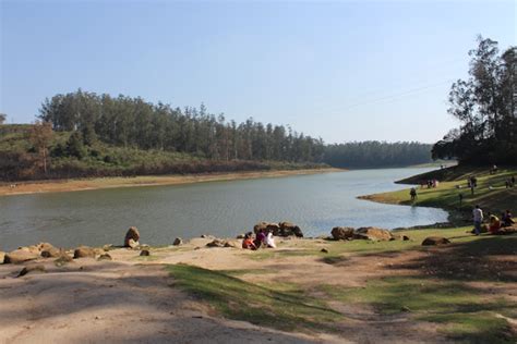 Tamilnadu Tourism Pine Forest Shooting Spot Ooty Nilgiris