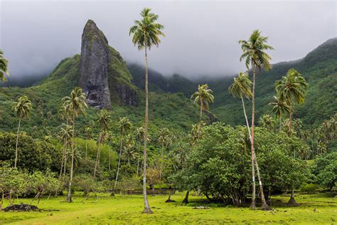 New Photos Of Raiatea French Polynesia
