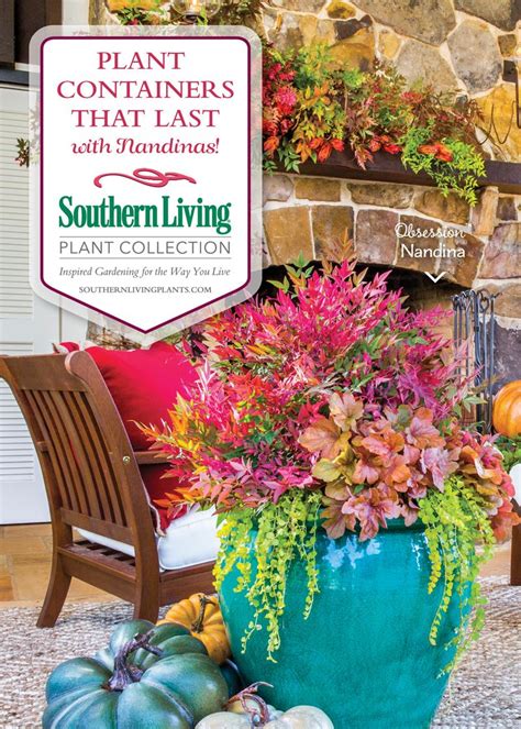 Plant Containers That Last With Southern Living Plant Collection