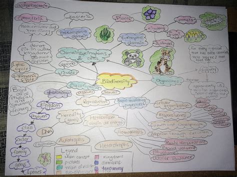 Unit Concept Map Biology E Portfolio