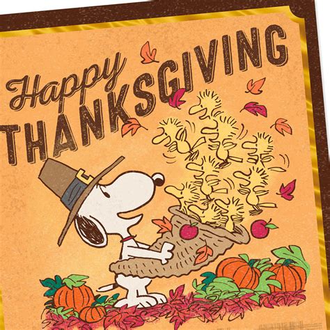 A thanksgiving episode is a story or an episode within a larger series that focuses on the holiday of the americans have established a thanksgiving day to celebrate the fact that the pilgrim fathers. Peanuts® Snoopy and Woodstock Cornucopia Thanksgiving Card ...