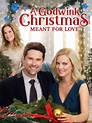 A Godwink Christmas: Meant for Love Pictures - Rotten Tomatoes
