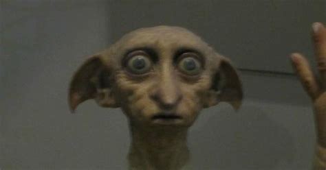 Decapitated Dobby Stares Into Your Soul Harrypotter