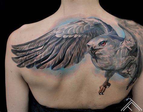 Top More Than White Hawk Tattoo Latest Esthdonghoadian