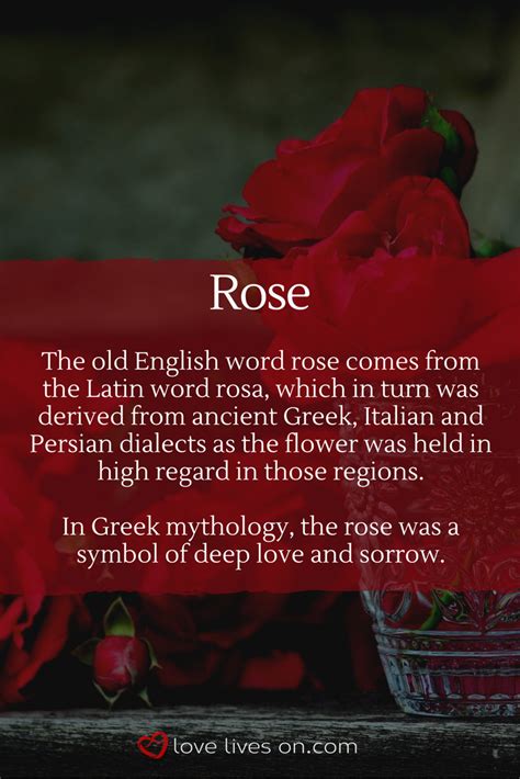 We offer free funeral home delivery to anywhere within the greater toronto area on orders over $69. 10+ Best Funeral Flowers | Flower meanings, Rose meaning ...